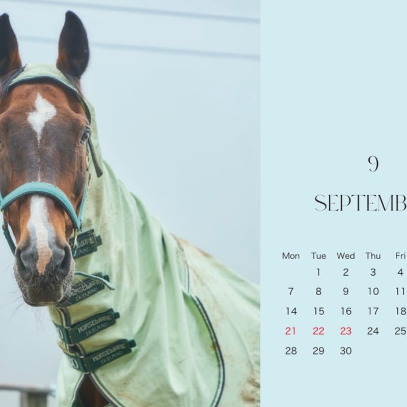 Satchmo卓上カレンダー2026(数量限定) | FOCUS STUDIO