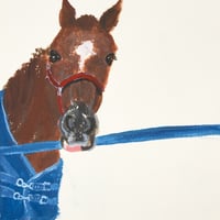 ポストカード(horse3)
