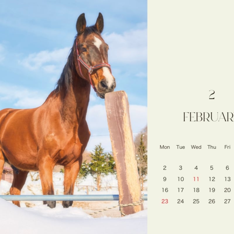 Satchmo卓上カレンダー2026(数量限定) | FOCUS STUDIO