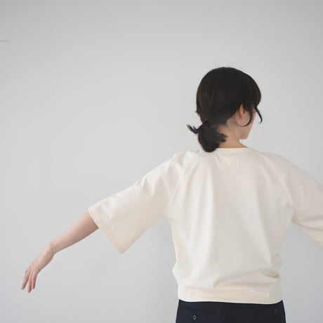mvs cotton/half sleeve tshirt/panache