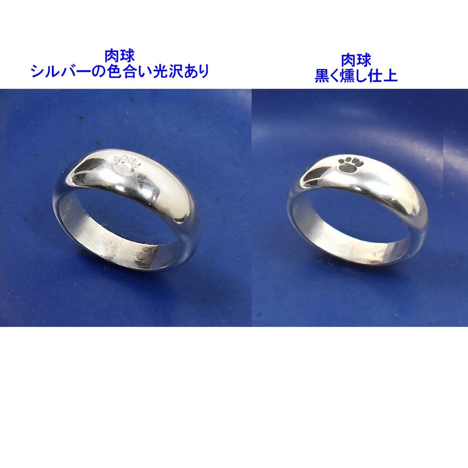 6672a9dc13edcc0039d19058