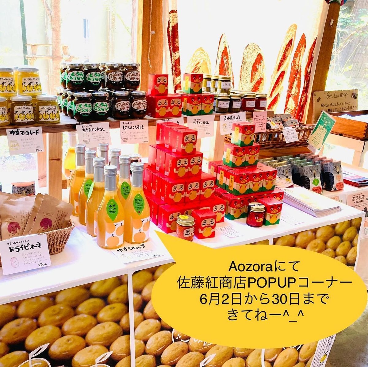 POPUP情報】6/2~6/31 岡山市南区のパン屋「aozora」さんにてPOP UPス