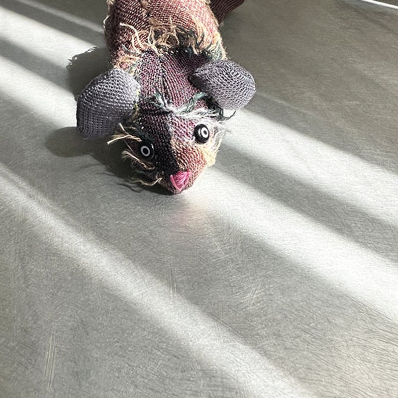 ネスミス フリスビー バランスコアブーツ ニットタイプ BEAXIS(ビーアクシス) | amepla