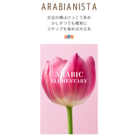 １Day　MSAアラビア語　Or アンミーヤ表現講座