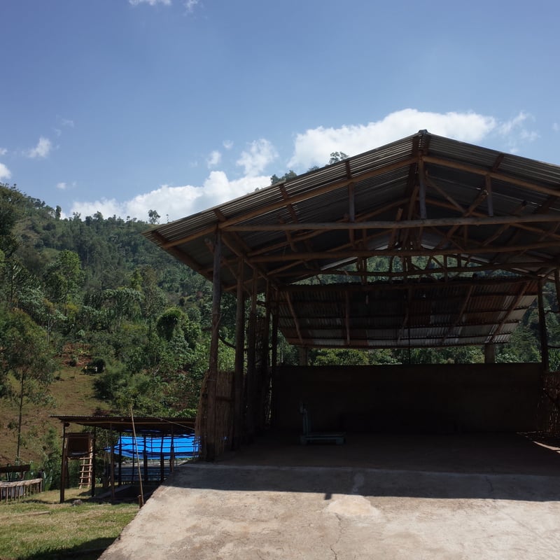 珈琲『モカ・ベンサ』ウォッシュド 中深煎り | 蕪木