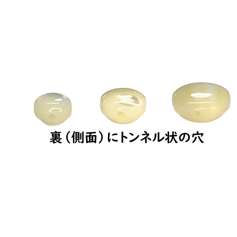 高瀬貝 貝ボタン 小さなコロコロした可愛い裏穴ボタン 10個セット SH