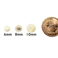 高瀬貝 貝ボタン 小さなコロコロした可愛い裏穴ボタン　10個セット　SH-2584