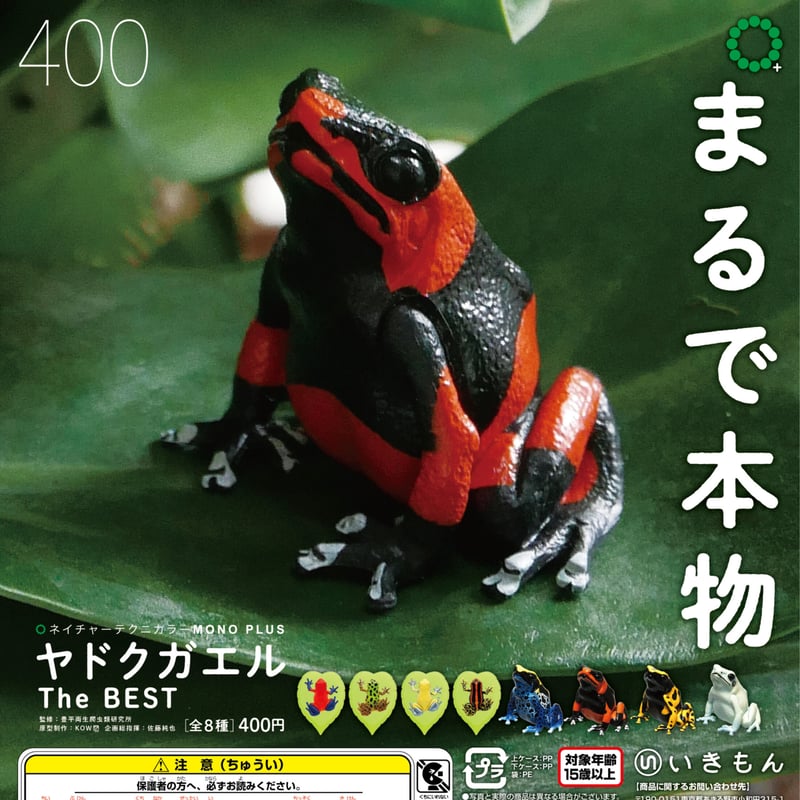 ♯Hoi26Hj　ネイチャーMONOヤドクガエル1ストラップマグネット16種 ♯Hoi26Hj ネイチャーMONOヤドクガエル1ストラップマグネット16種