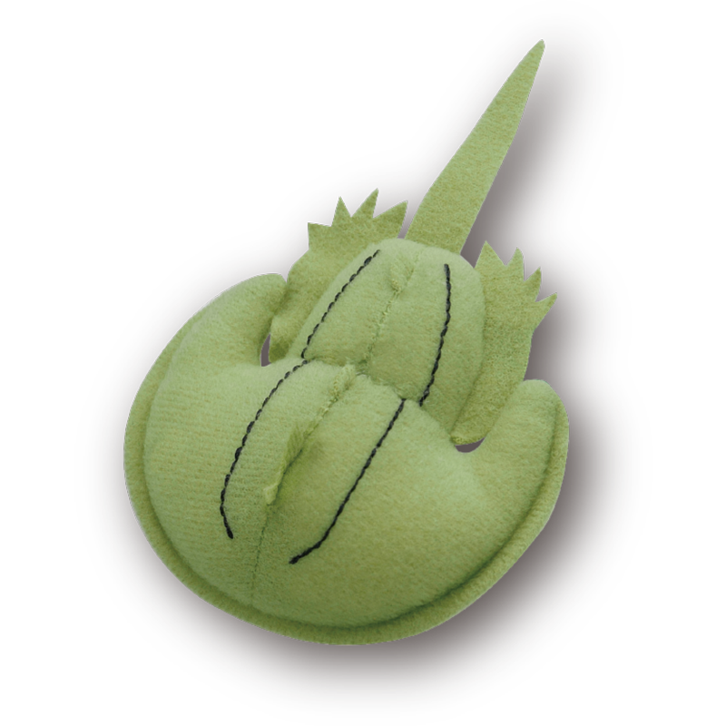 STC ふわふわな化石 ぬいぐるみマスコット | 株式会社いきもん