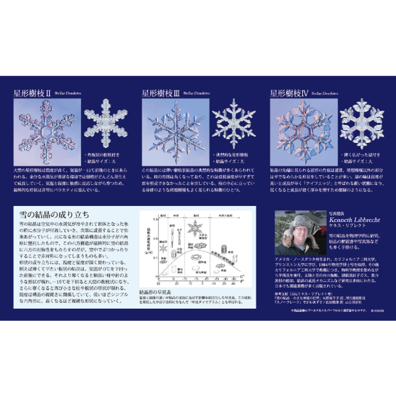 NTC MONO 雪の結晶チャームストラップ ゴールド＆シルバー（カプセル