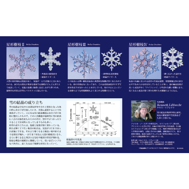 NTC MONO 雪の結晶チャームストラップ ゴールド＆シルバー（カプセル