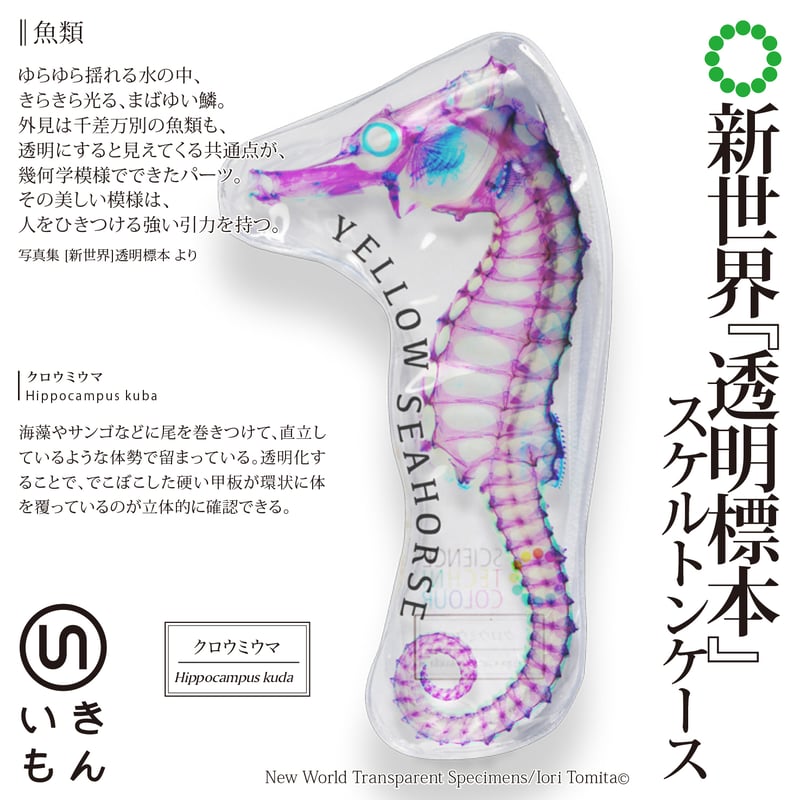 新世界『透明標本』スケルトンケース(カプセルなし) | 株式 新世界『透明標本』スケルトンケース(カプセルなし) | 株式