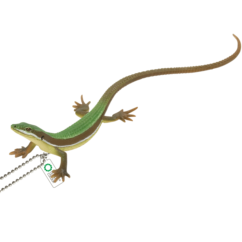 ♯Gti10FO ネイチャーMONO トカゲヤモリストラップマグネット16種