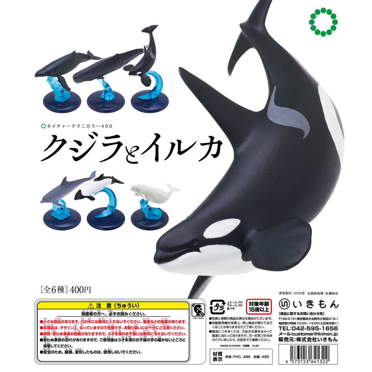くじら・いるか　骨　鯨　イルカ　4点セット クジラとイルカ – ネイチャーテクニカラー公式