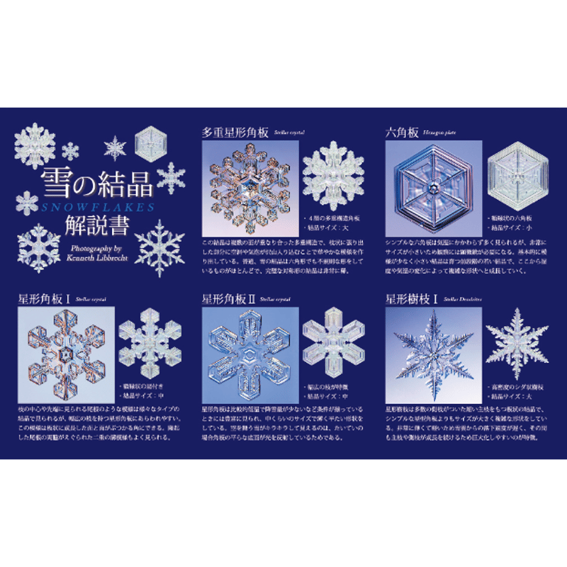 NTC MONO 雪の結晶チャームストラップ ゴールド＆シルバー（カプセル