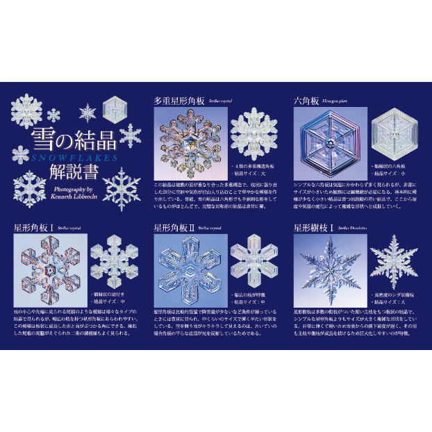 NTC MONO 雪の結晶チャームストラップ ゴールド＆シルバー（カプセル