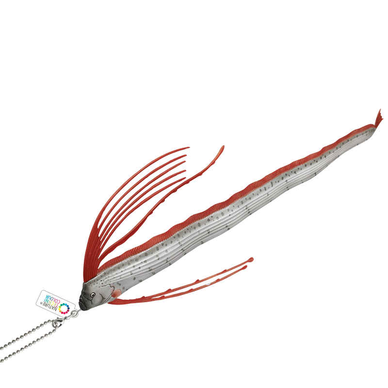 NTC MONO＋深海生物マグネット＆ボールチェーン | 株式会社いきもん