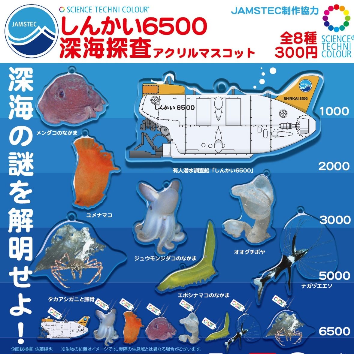 STC しんかい6500深海探査アクリルマスコット | 株式会社いきもん WEB