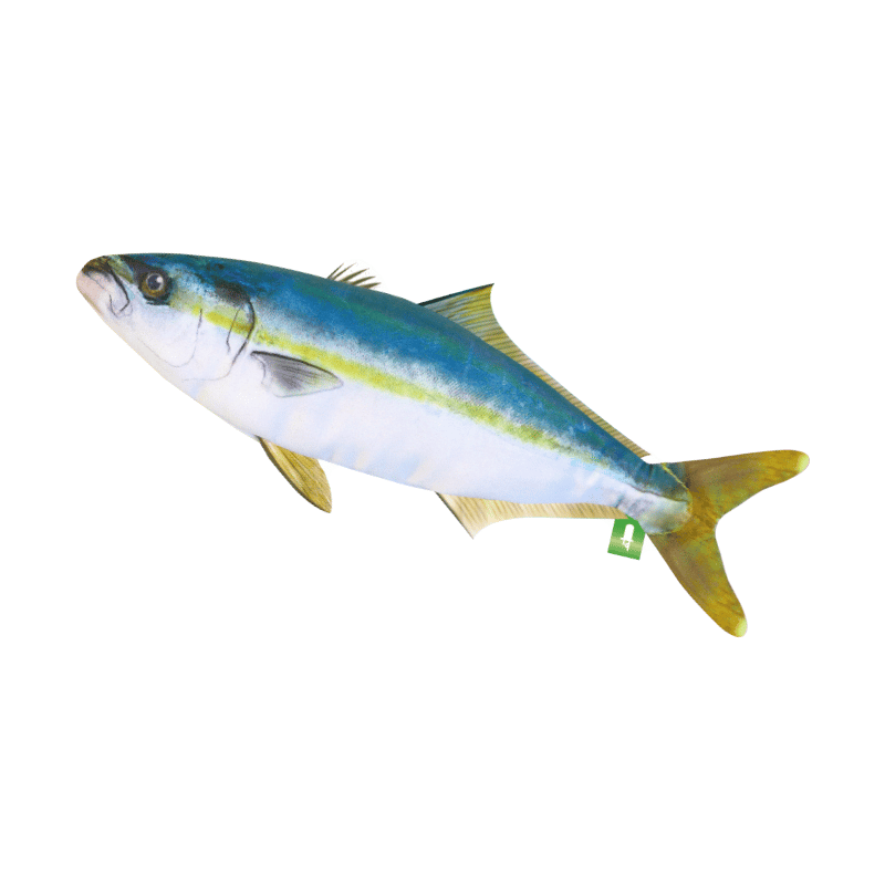 ATC すいラボ ゲーミング魚コレクション | 株式会社いきもん WEBストア