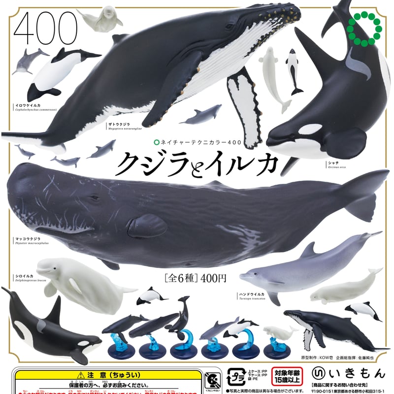 NTC 400 クジラとイルカ | 株式会社いきもん WEBストア NTC 400 クジラとイルカ | 株式会社いきもん WEBストア