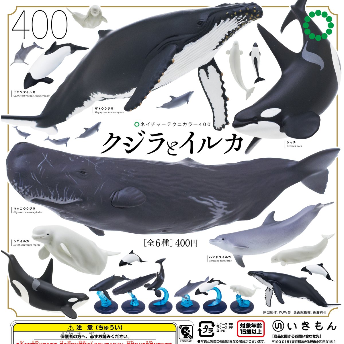 クジラ　シャチ　イルカ　歯　マッコウクジラ　ハンドメイド　トローリング　骨董品 クジラ シャチ イルカ 歯 マッコウクジラ ハンドメイド