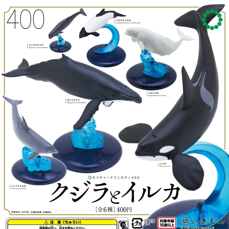 NTC 400 クジラとイルカ | 株式会社いきもん WEBストア NTC 400 クジラとイルカ | 株式会社いきもん WEBストア