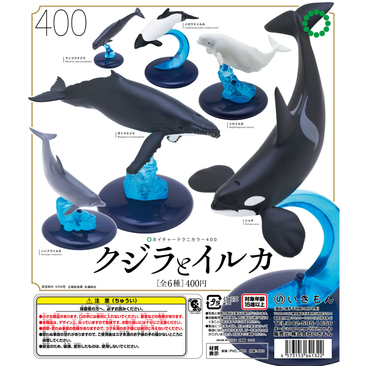 k*o様 くじら・いるか　骨　鯨　イルカ　4点セット NTC 400 クジラとイルカ | 株式会社いきもん WEBストア