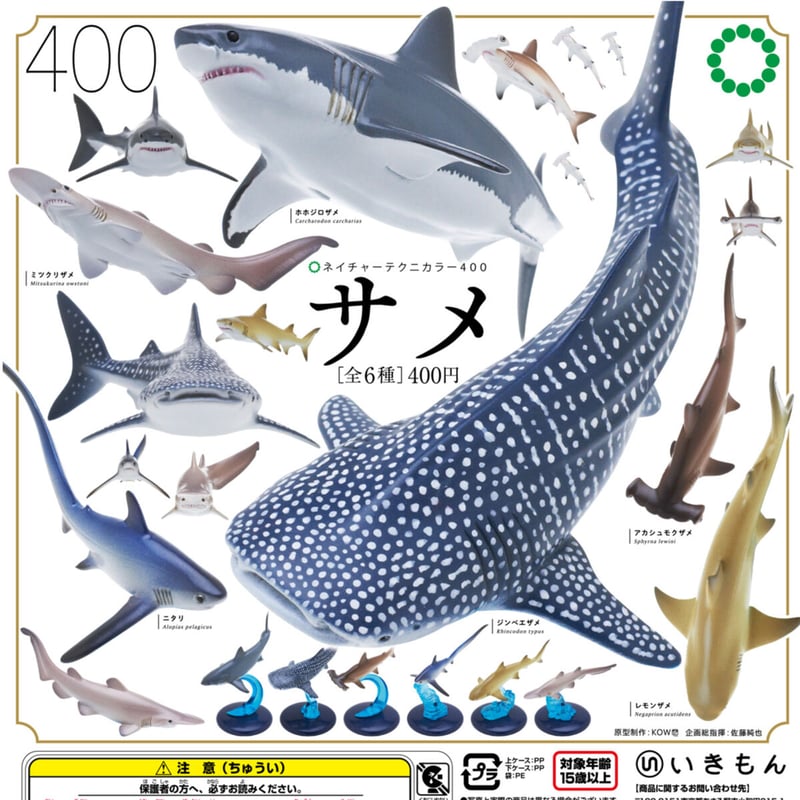 NTC 400 サメ | 株式会社いきもん WEBストア NTC 400 サメ | 株式会社いきもん WEBストア