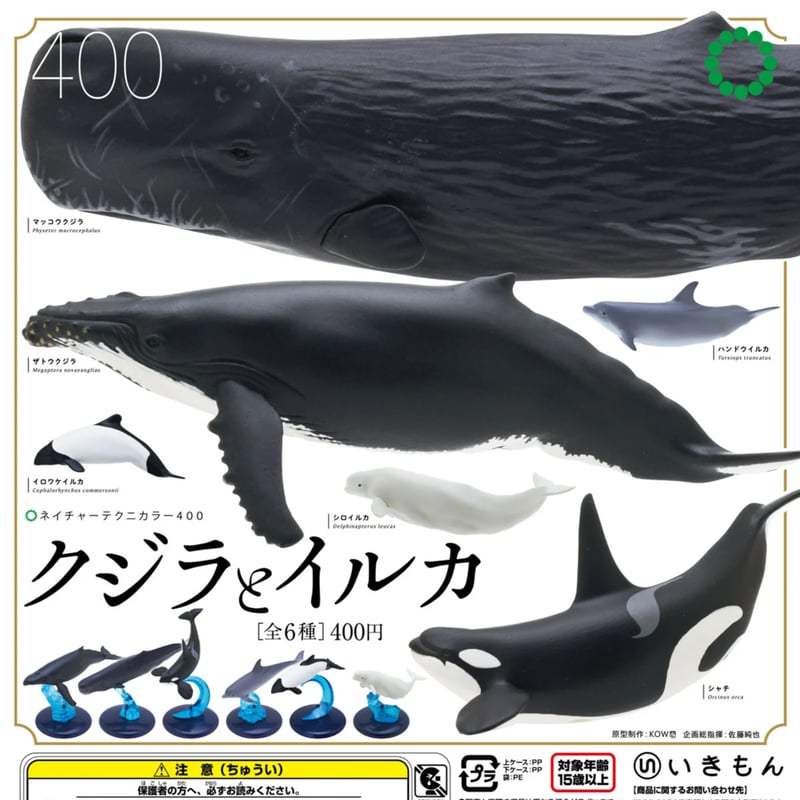 NTC 400 クジラとイルカ | 株式会社いきもん WEBストア NTC 400 クジラとイルカ | 株式会社いきもん WEBストア