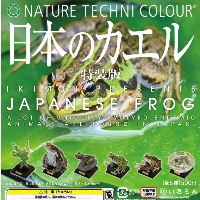 日本産カエル大鑑 文一総合出版 ケース付き 9784829988435