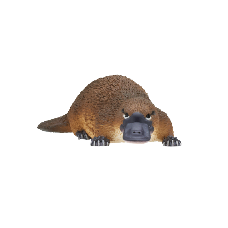 ニトラム NITRAM('21オーストラリア) 廃盤】ニトラム NITRAM('21オーストラリア) Blu-ray