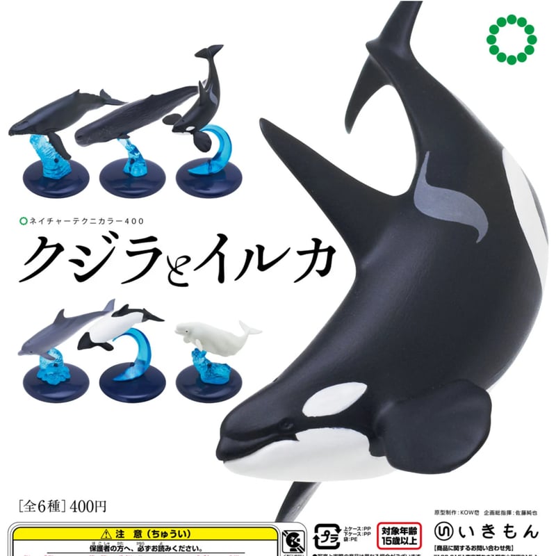 NTC 400 クジラとイルカ | 株式会社いきもん WEBストア NTC 400 クジラとイルカ | 株式会社いきもん WEBストア