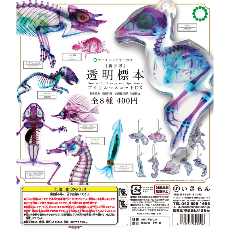 新世界] 透明標本アクリルマスコットDX | 株式会社いきもん WEBストア