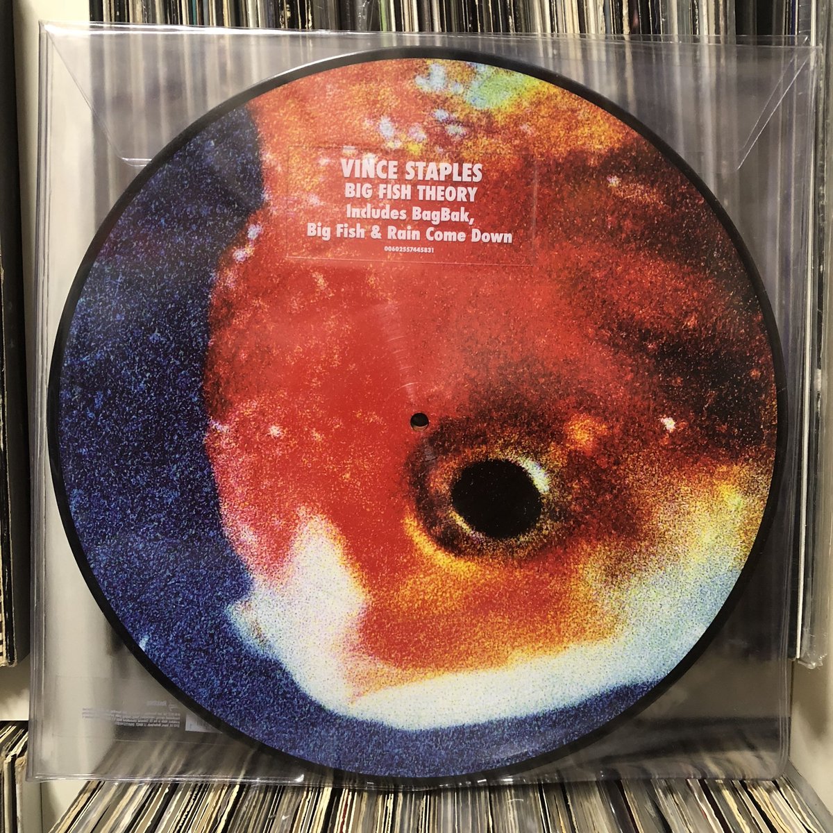 洋楽 Vince Staples Big Fish Theory Big Fish Theory - Album by Vince Staples - Apple Music