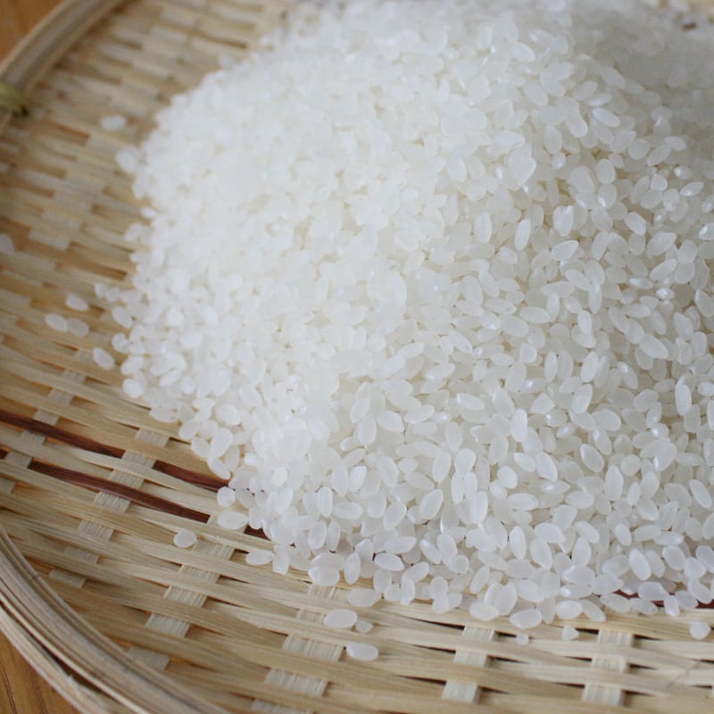 新米　令和6年産　新潟コシヒカリ　白米5kg×4個★農家直送★色彩選別済13 楽天市場】産地直送 【令和6年産】 新潟産特別栽培米コシヒカリ