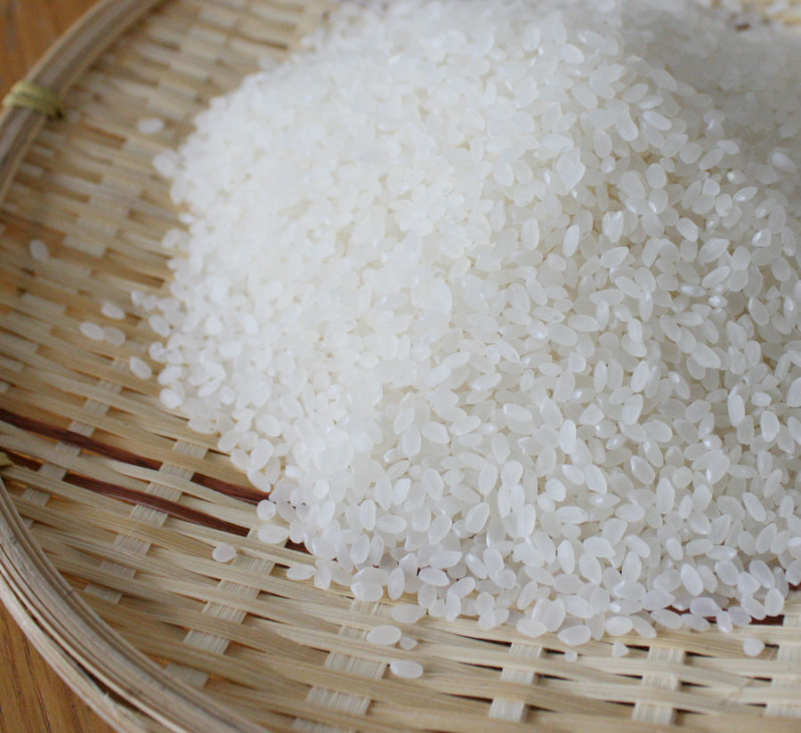 令和7年産】特別栽培米（農薬8割減）コシヒカリ5kg（新潟県長岡産