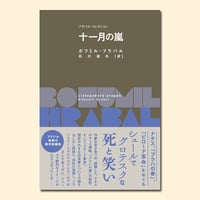 十一月の嵐〈フラバル・コレクション〉