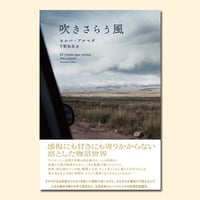 吹きさらう風〈創造するラテンアメリカ8〉