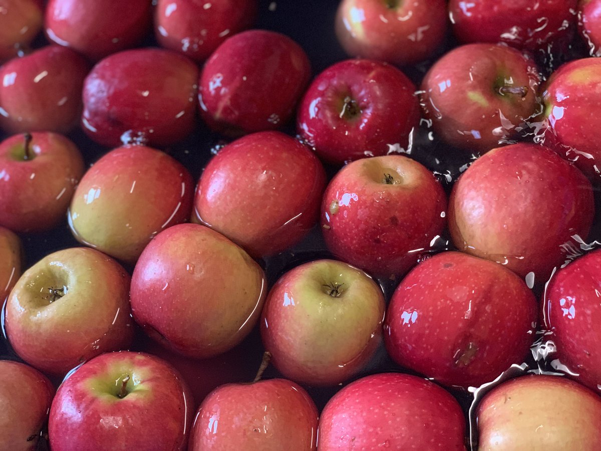 油彩　林檎とワイン 林檎と赤ワイン | 和歌山県の果実酒 | クラフト酒・日本酒の通販