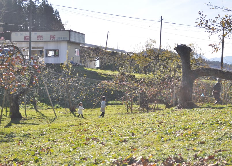 りんご屋まち子のアップルジュース（720ml）大人の贅沢りんごジュース