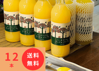 （12本セット・送料無料）〜大人の贅沢りんごジュース〜りんご屋まち子のアップルジュース 720ml｜G7広島サミット海外メディアおもてなし商品