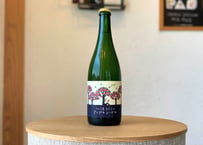 りんご屋まち子のアップルシードル（750ml)