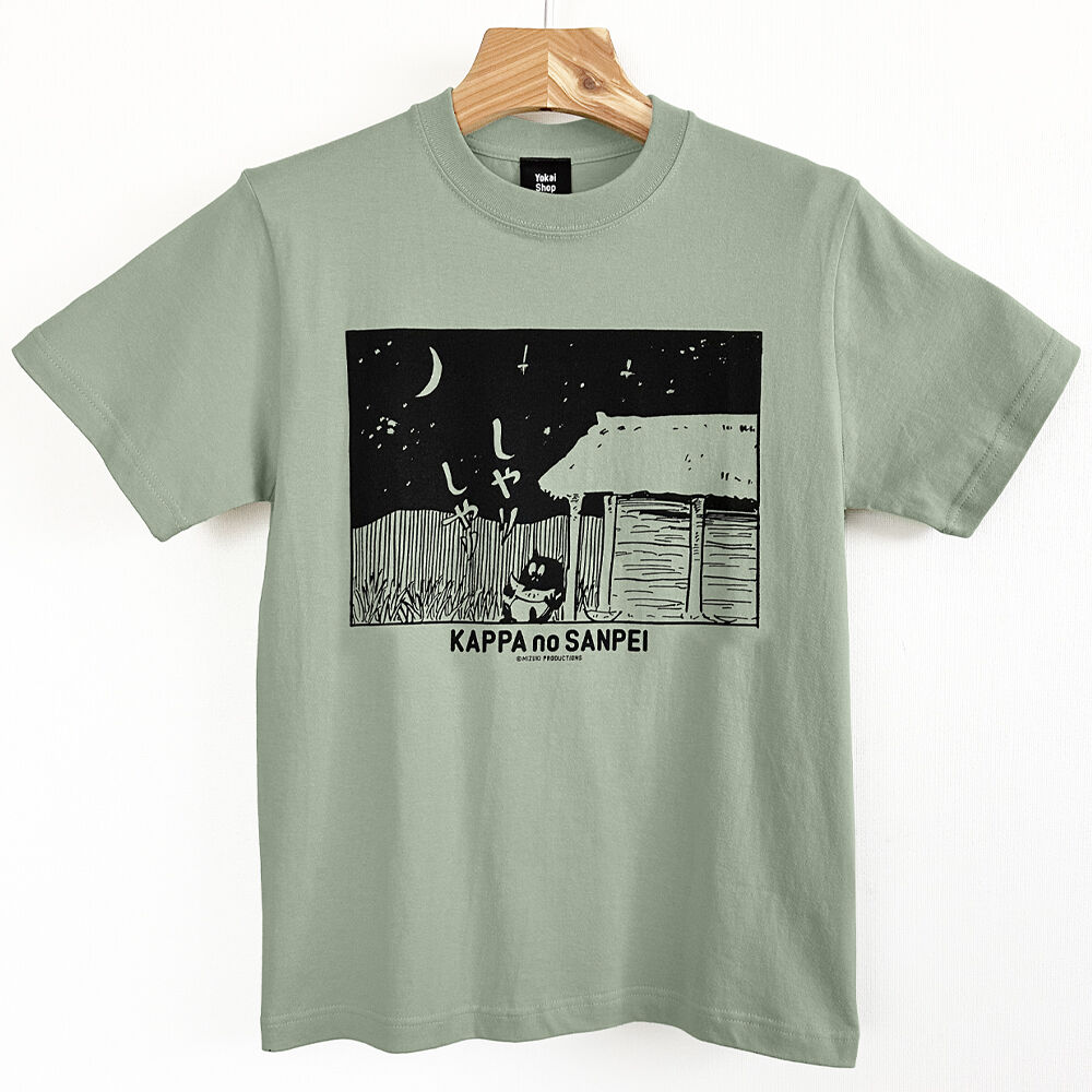 Plastic Tree Merry Go～、Ch.P DVDセット Tシャツ付