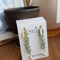 海ぶどう  葉っぱ