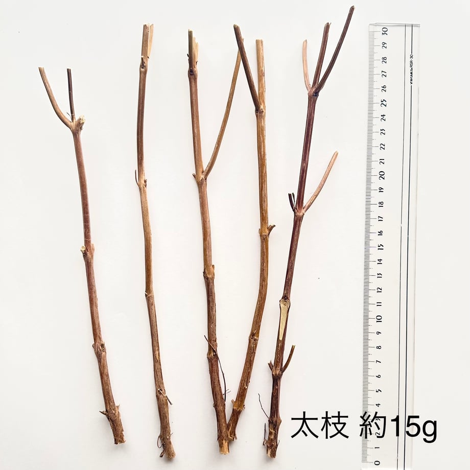 655a213bf7672e077bec9f94