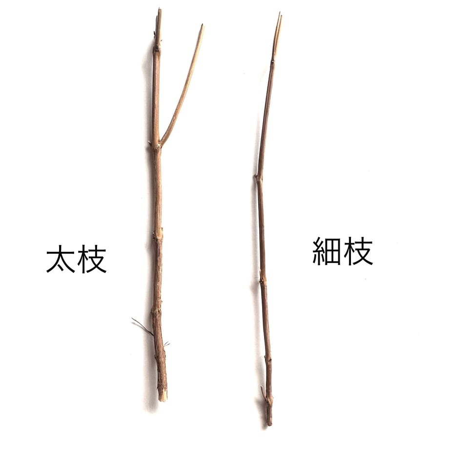 655a213bf7672e077bec9f94