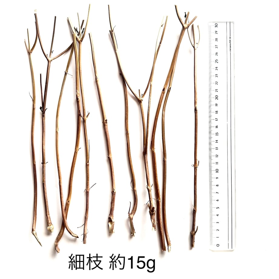 655a213bf7672e077bec9f94