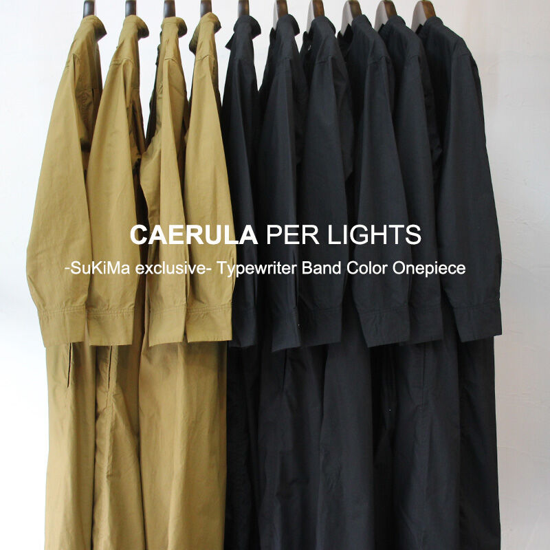S u K i M a -スキマ- 別注** CAERULA PER LIGHTS カエル S u K i M a -スキマ- 別注** CAERULA PER LIGHTS カエル