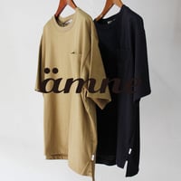 amne アンヌ　ソリッドポケットTシャツ　＃amber , navy
