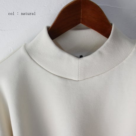 amne アンヌ　FRENCH TERRY oval v_mock フレンチテリーVモックプルオーバー　【送料無料】
